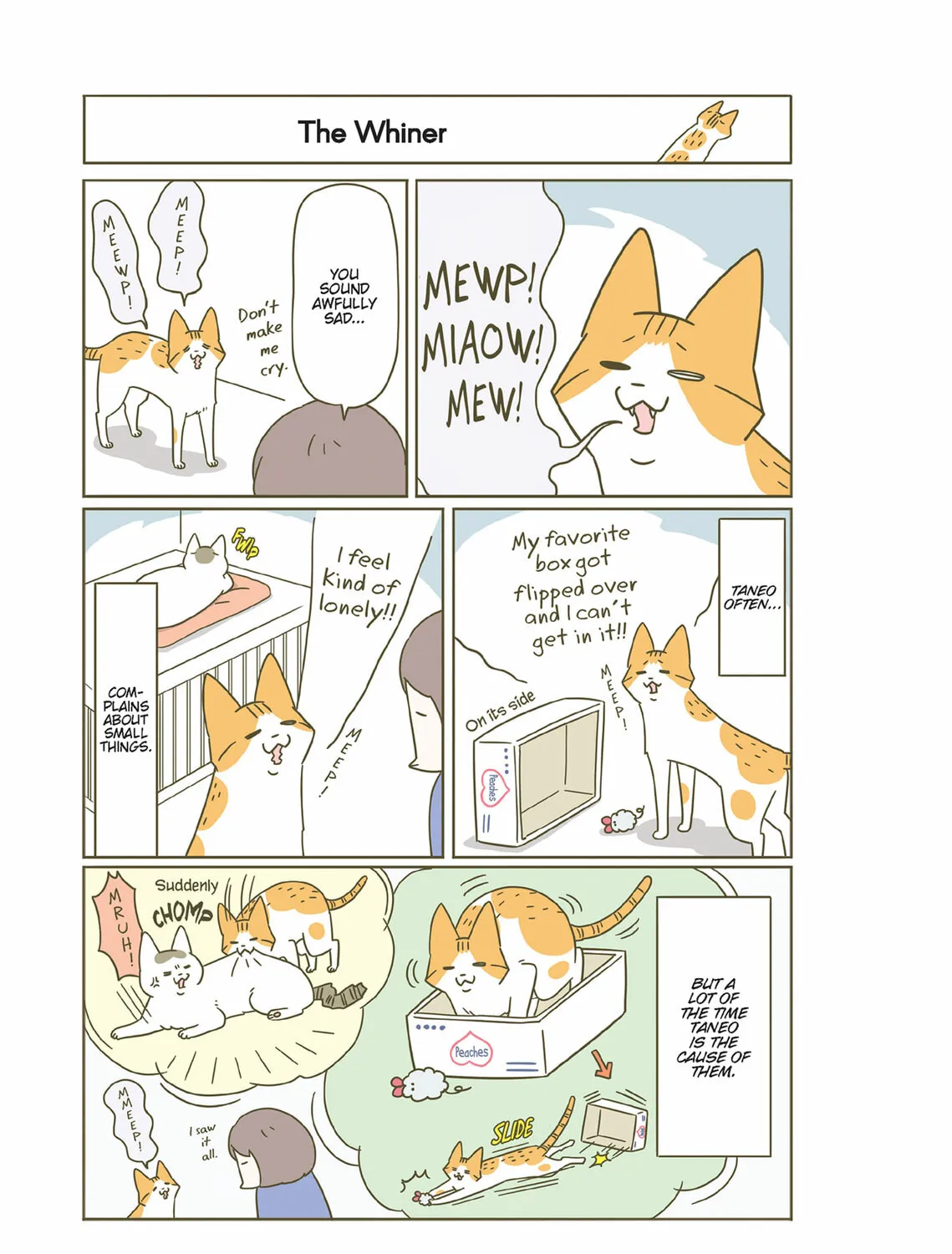 My Cat is Such a Weirdo Chapter 28 page 21 - 