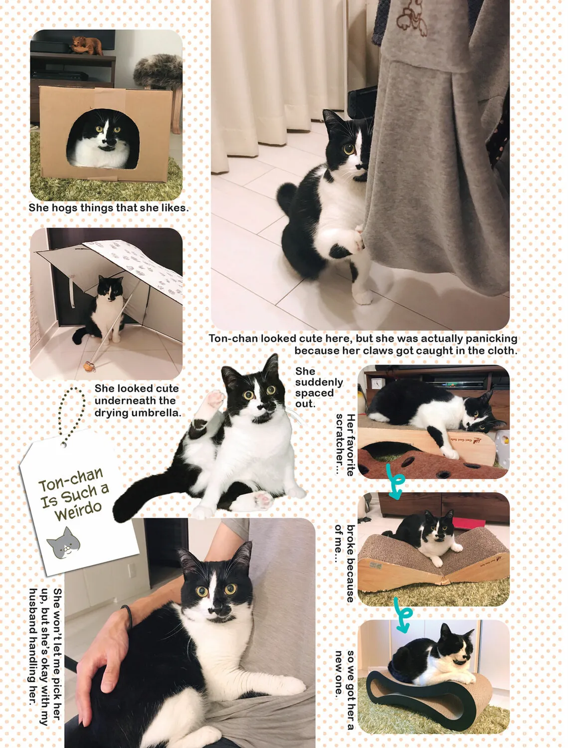 My Cat is Such a Weirdo Chapter 28 page 25 - 