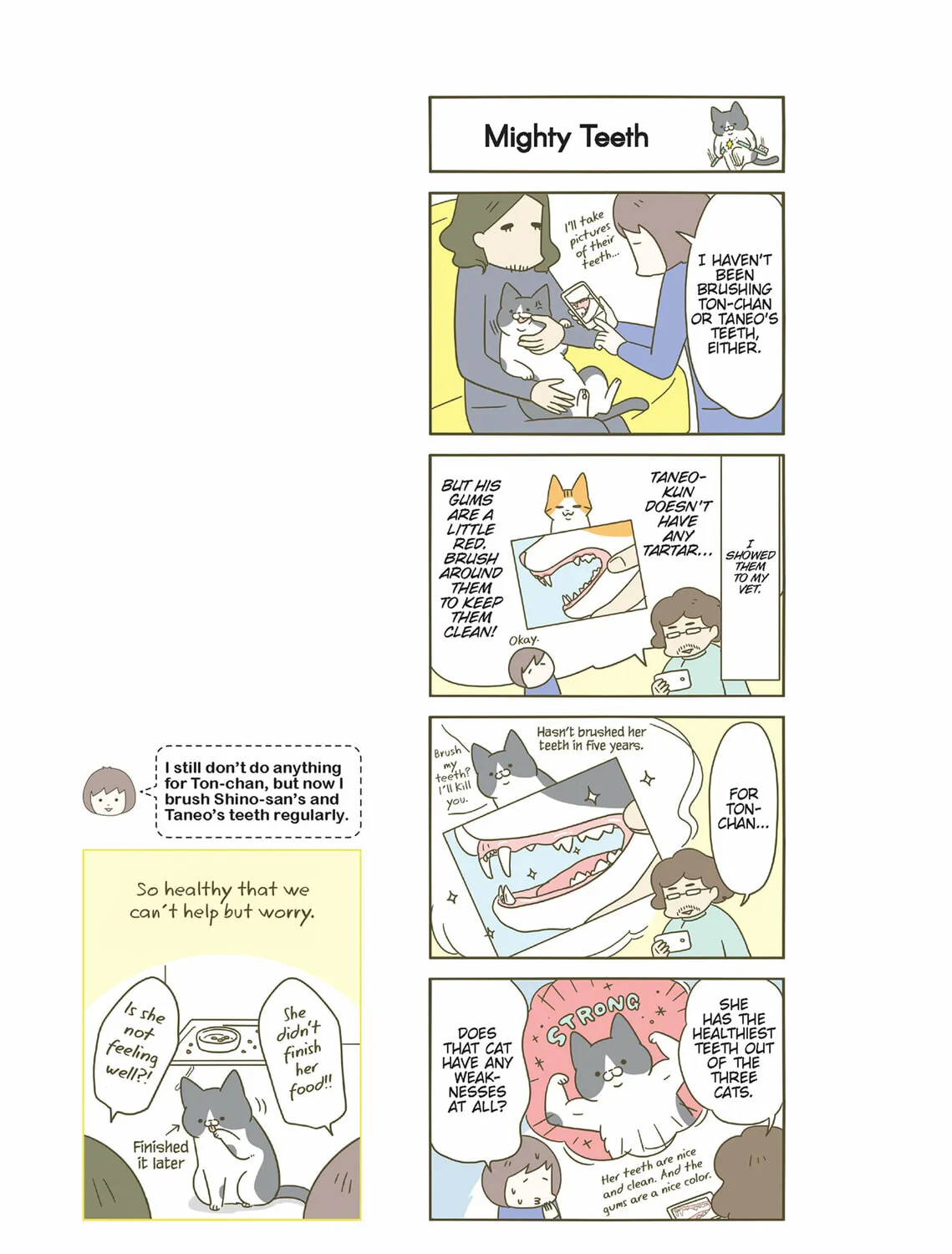My Cat is Such a Weirdo Chapter 28 page 37 - 