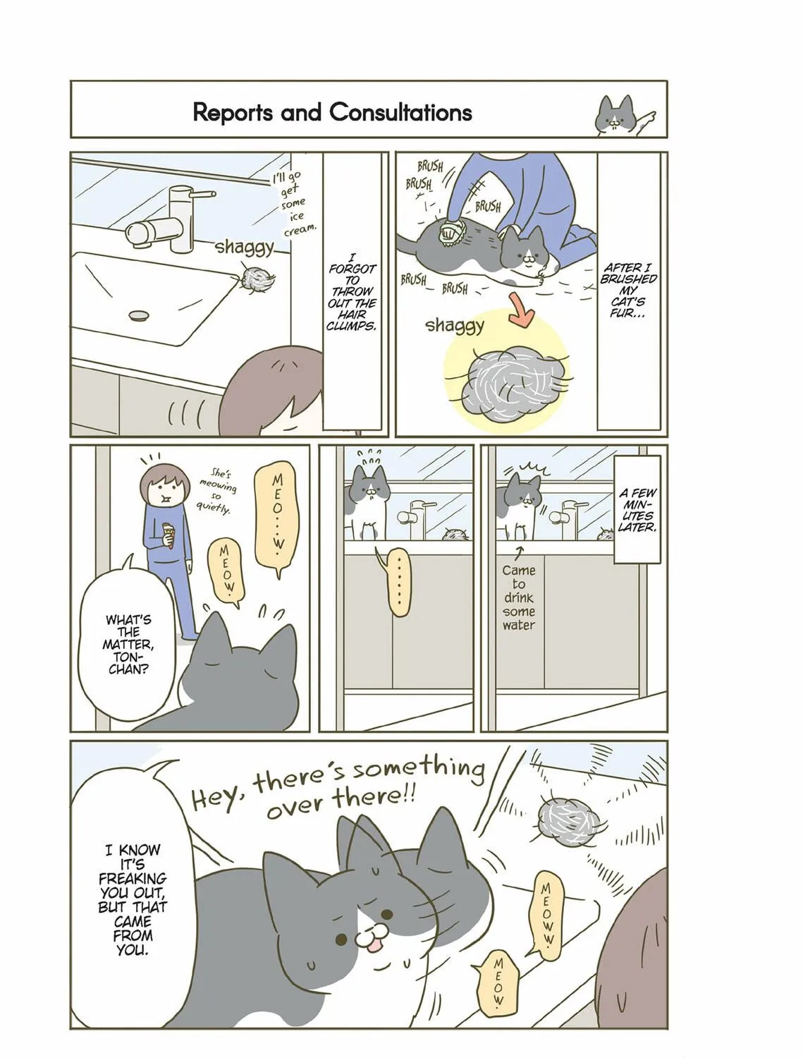 My Cat is Such a Weirdo Chapter 28 page 41 - 