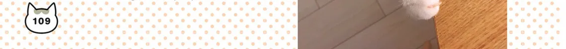My Cat is Such a Weirdo Chapter 28 page 46 - 