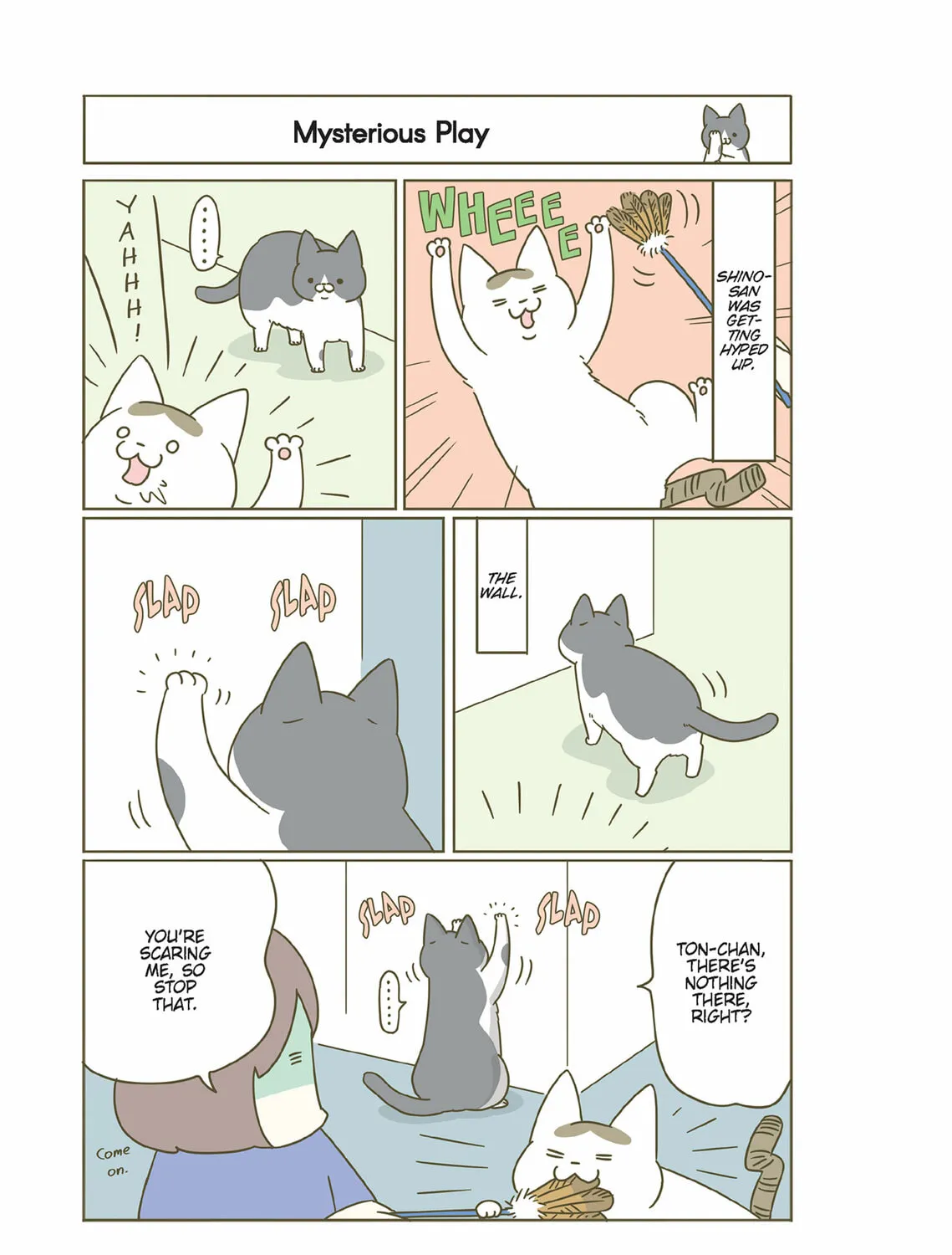 My Cat is Such a Weirdo Chapter 29 page 13 - 