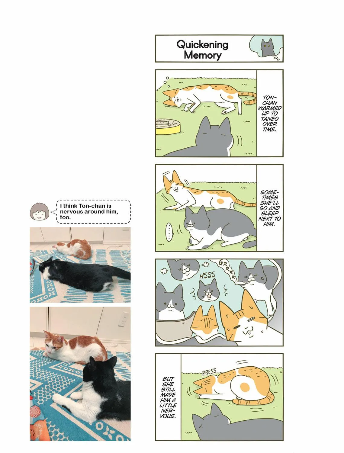 My Cat is Such a Weirdo Chapter 29 page 29 - 