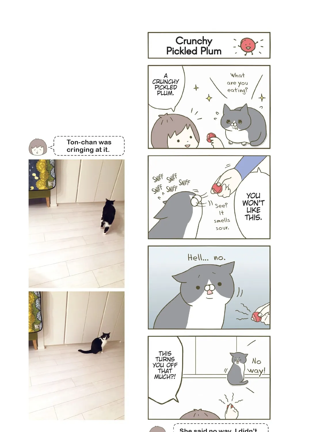 My Cat is Such a Weirdo Chapter 3 page 13 - 