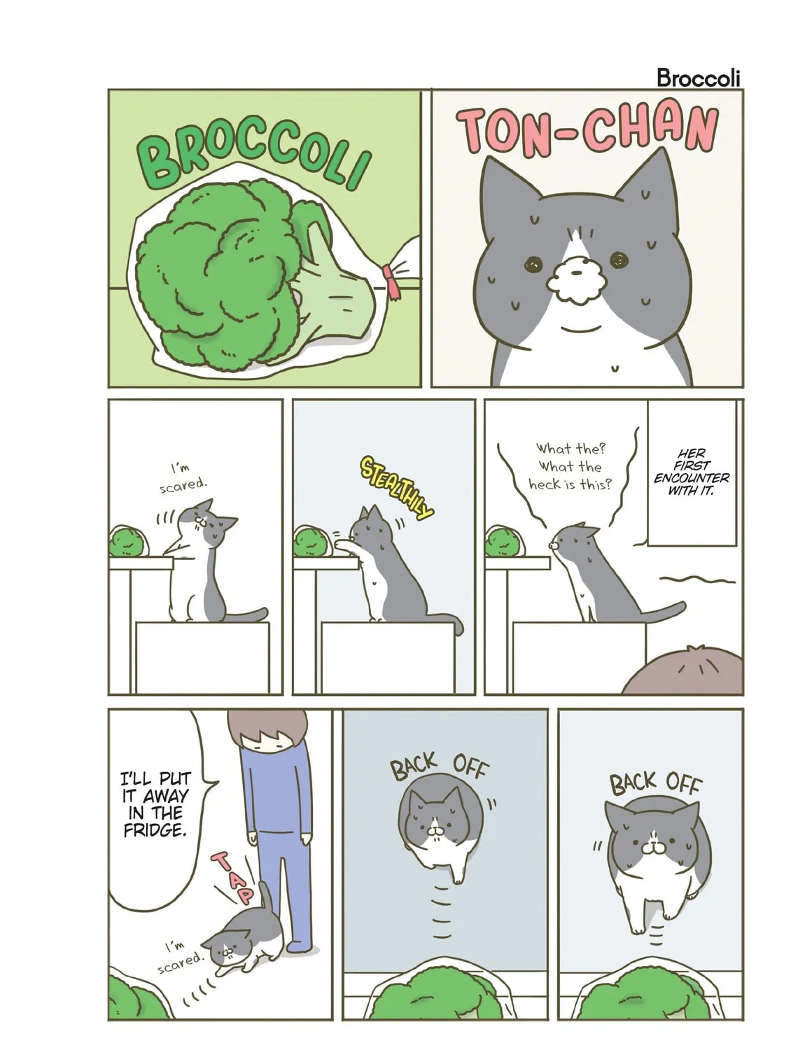 My Cat is Such a Weirdo Chapter 3 page 15 - 