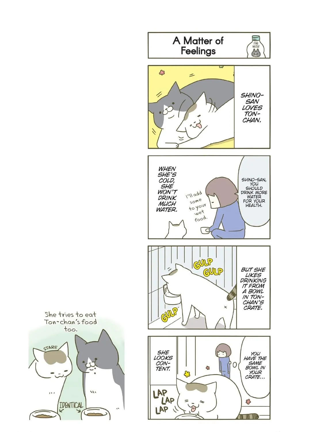My Cat is Such a Weirdo Chapter 3 page 17 - 