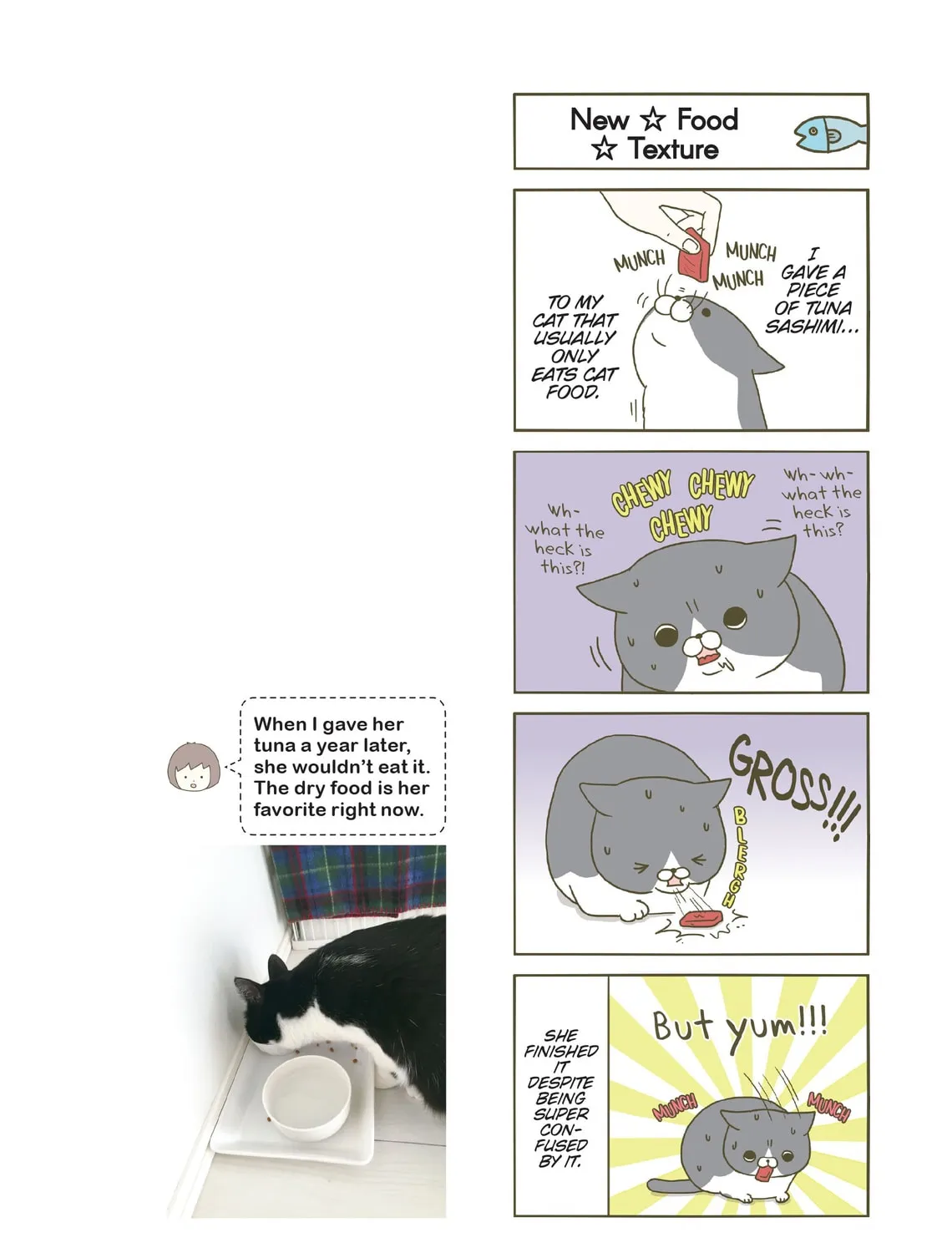 My Cat is Such a Weirdo Chapter 3 page 3 - 