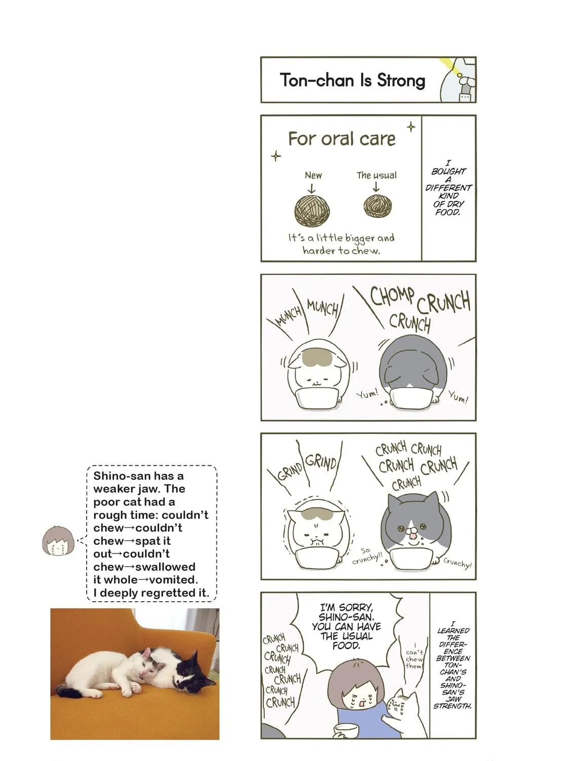 My Cat is Such a Weirdo Chapter 3 page 29 - 