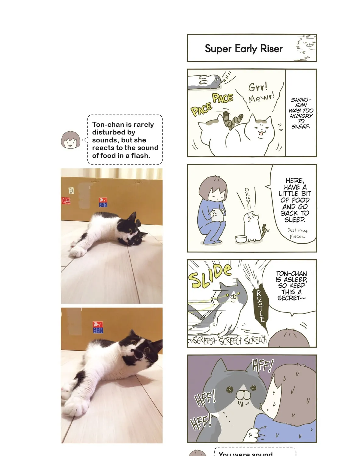My Cat is Such a Weirdo Chapter 3 page 31 - 