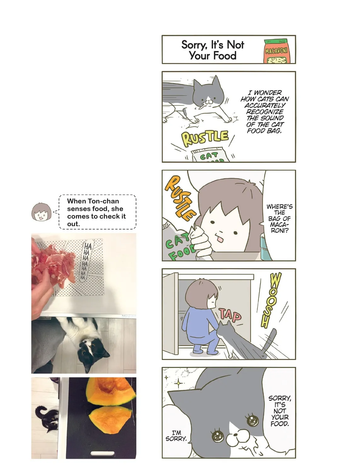My Cat is Such a Weirdo Chapter 3 page 33 - 