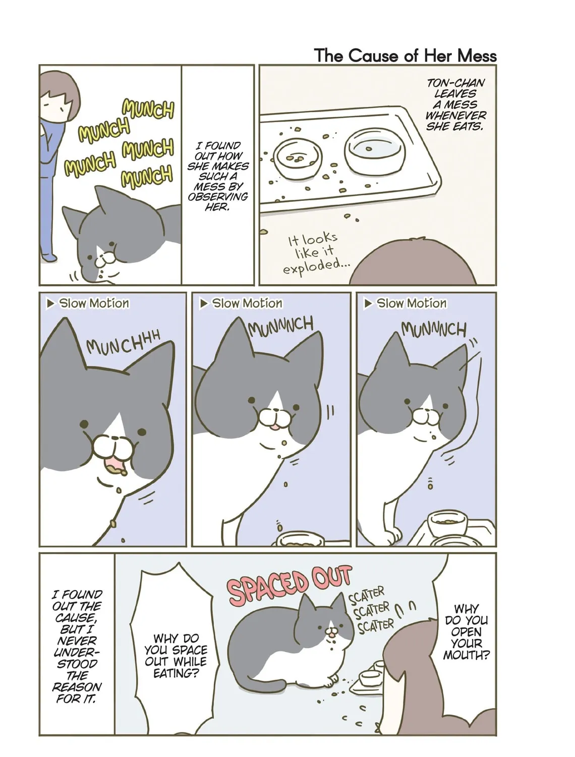 My Cat is Such a Weirdo Chapter 3 page 37 - 