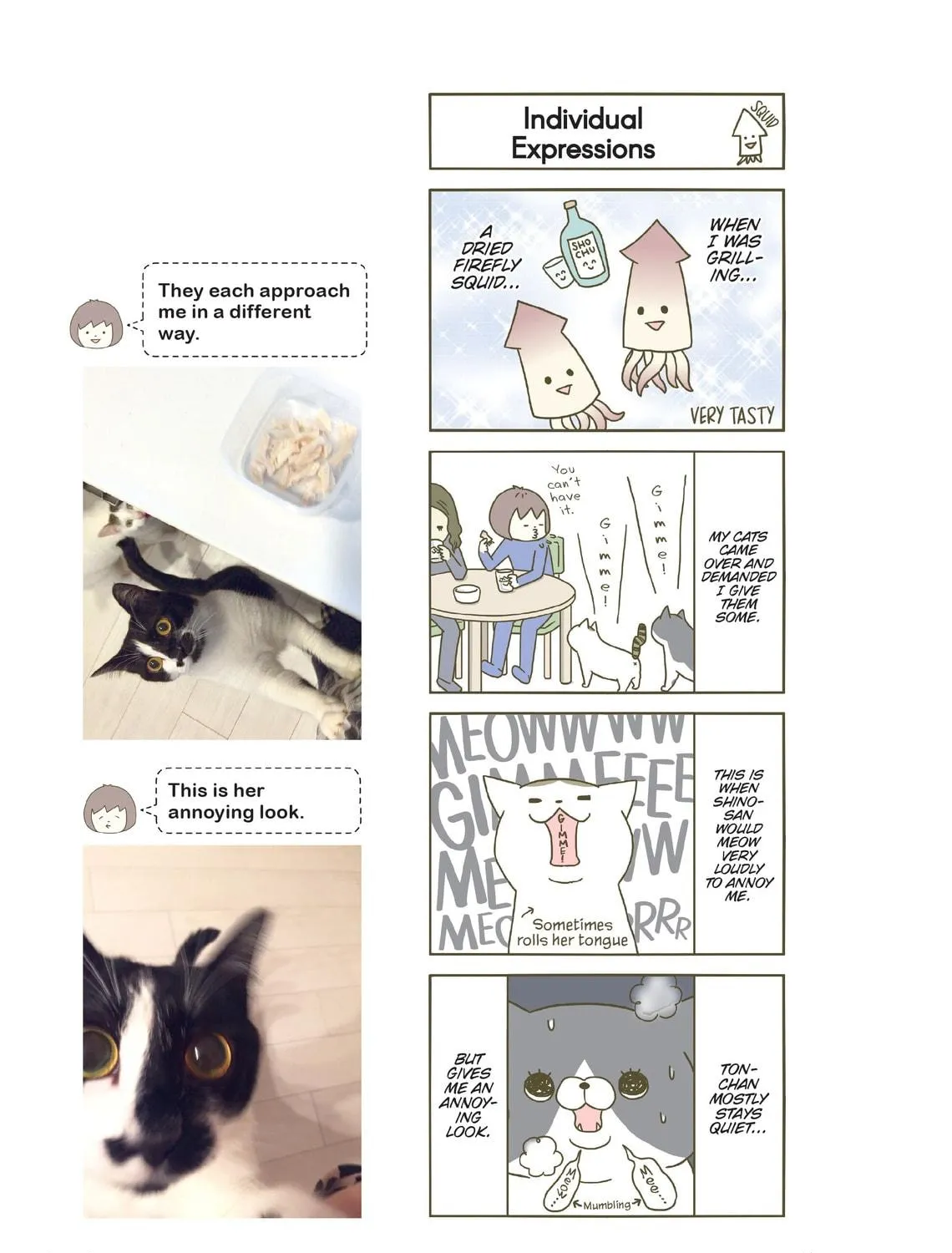 My Cat is Such a Weirdo Chapter 3 page 5 - 