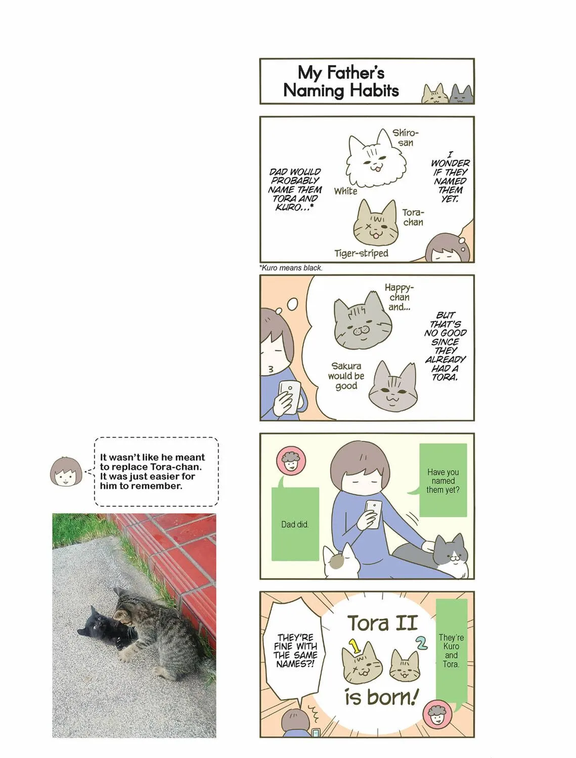 My Cat is Such a Weirdo Chapter 30 page 29 - 