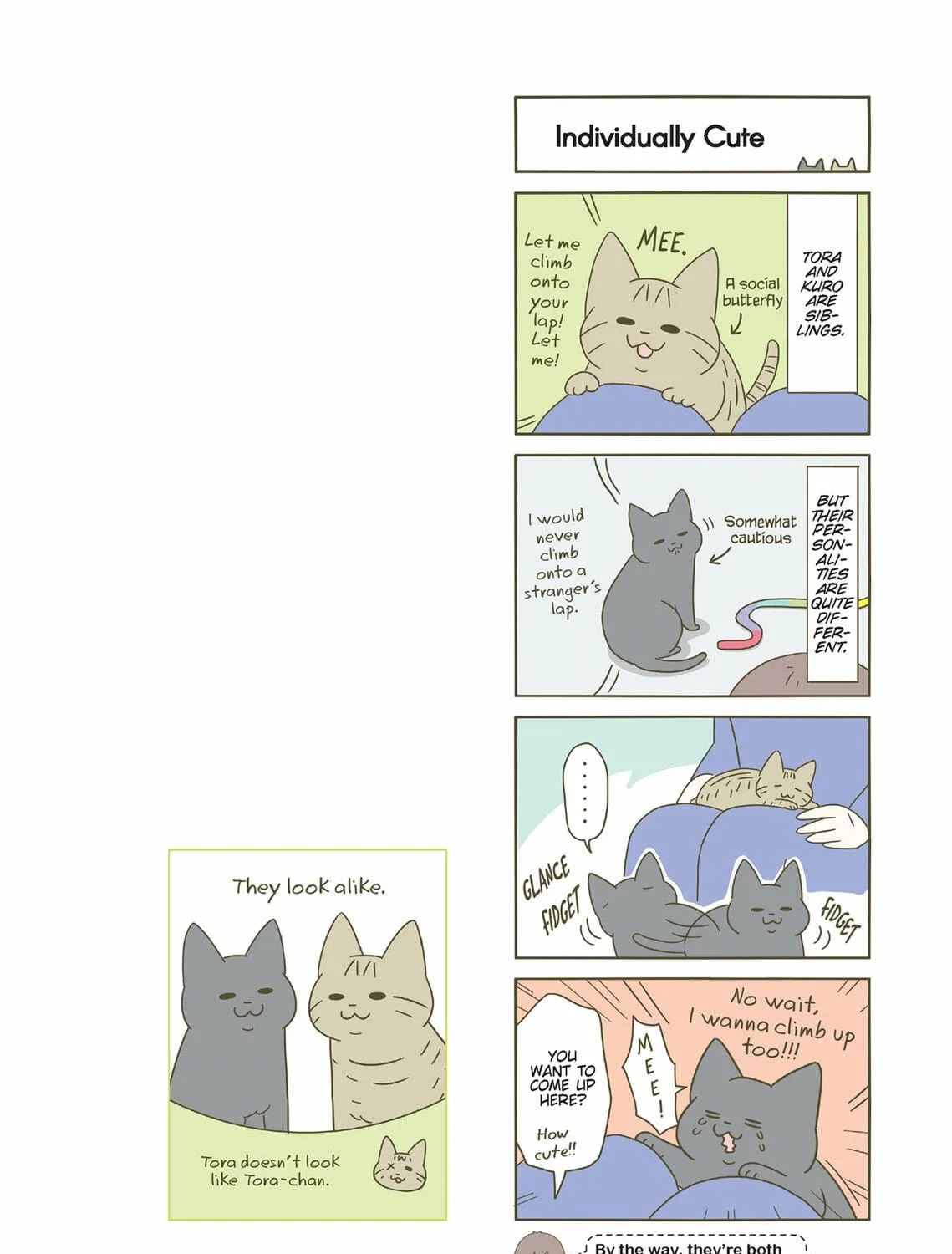 My Cat is Such a Weirdo Chapter 30 page 35 - 