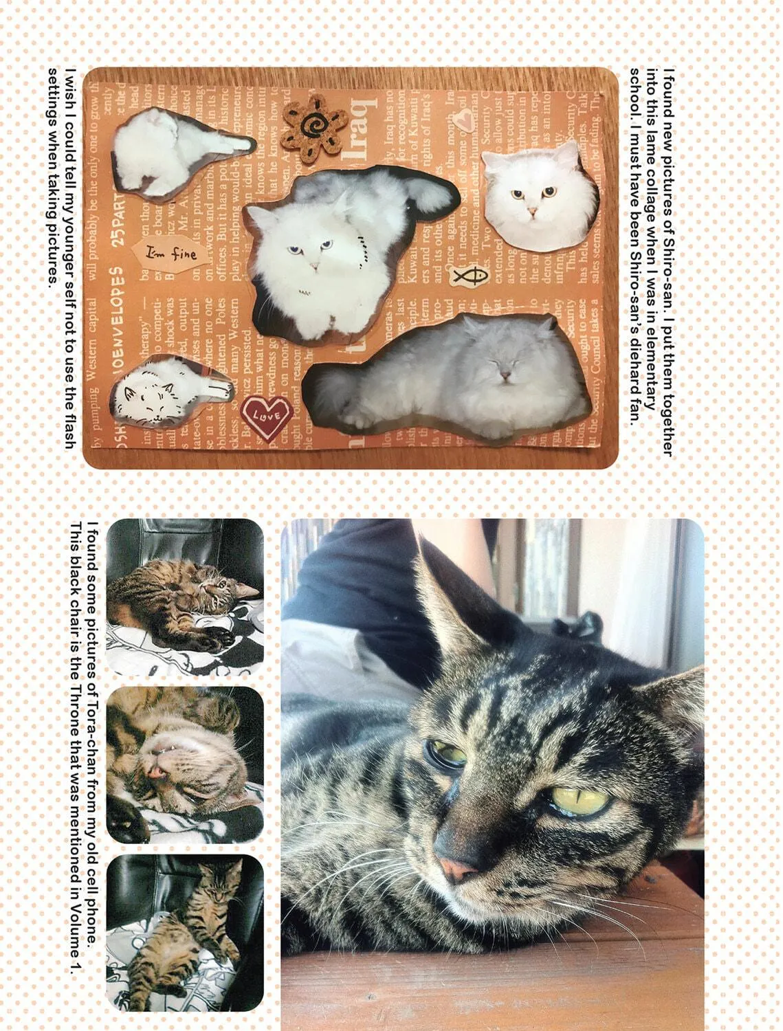 My Cat is Such a Weirdo Chapter 30 page 41 - 