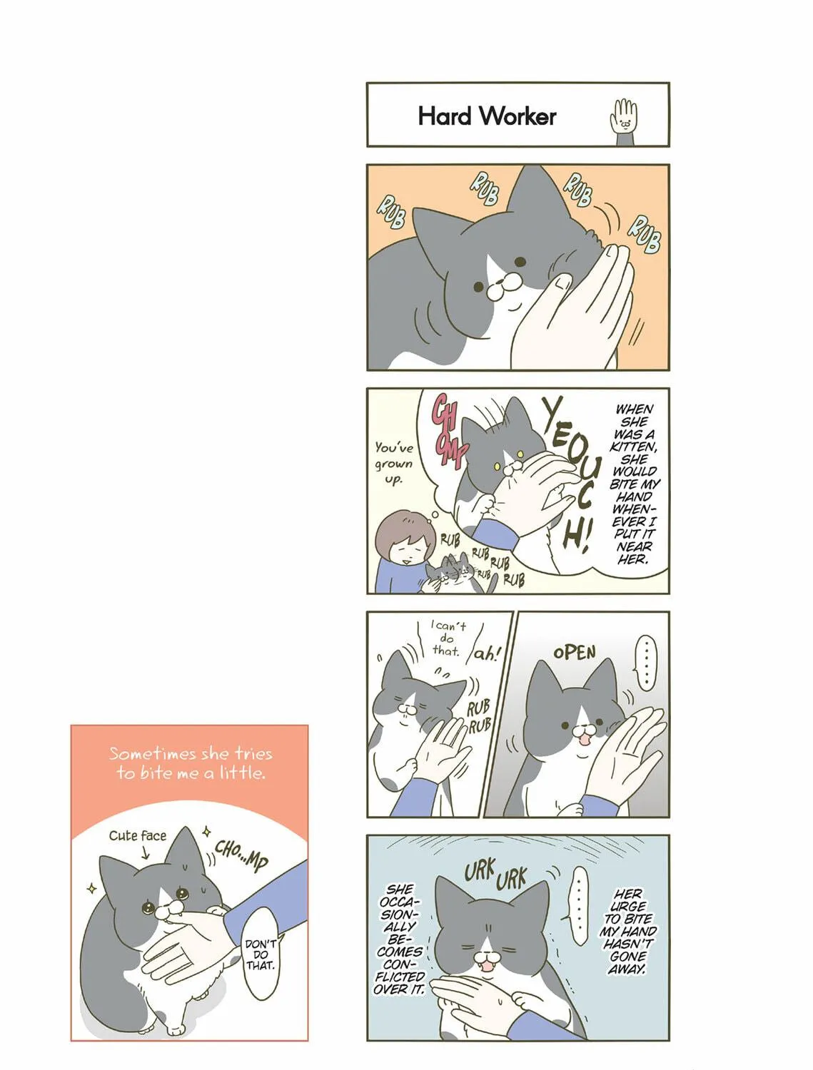 My Cat is Such a Weirdo Chapter 31 page 5 - 