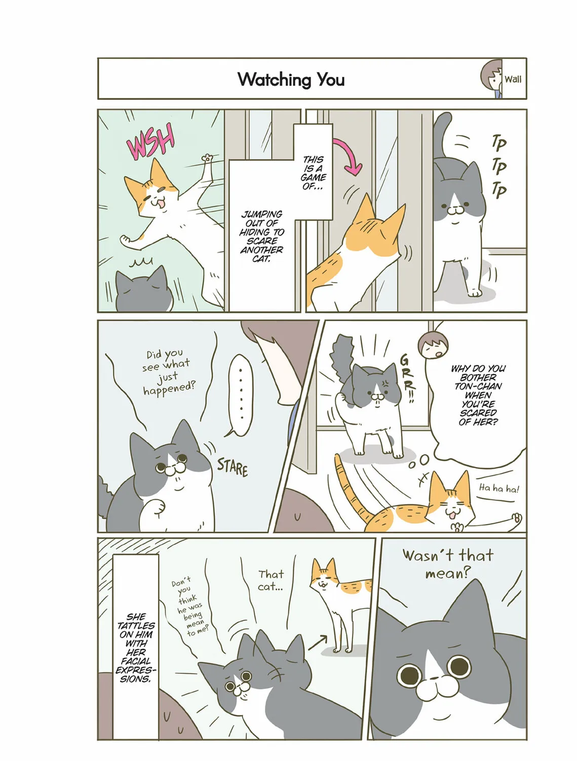 My Cat is Such a Weirdo Chapter 32 page 15 - 
