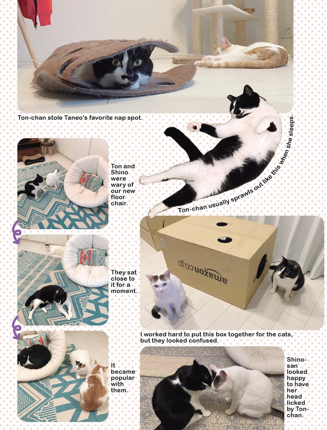 My Cat is Such a Weirdo Chapter 32 page 21 - 