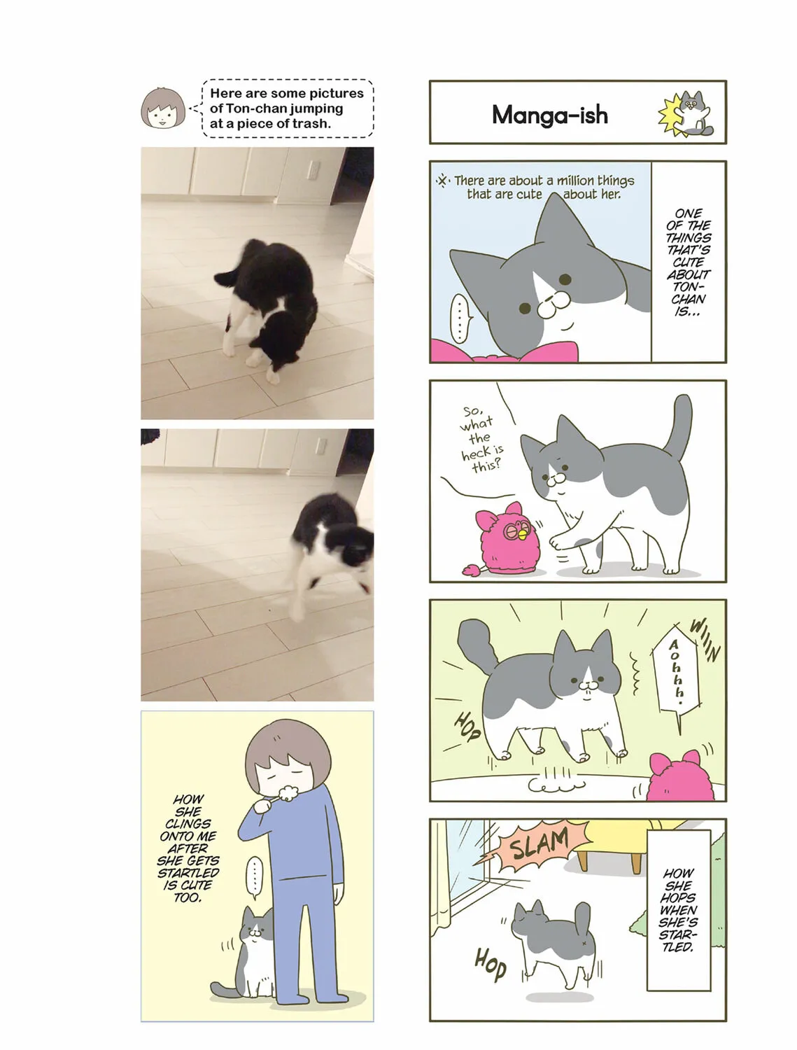 My Cat is Such a Weirdo Chapter 32 page 27 - 