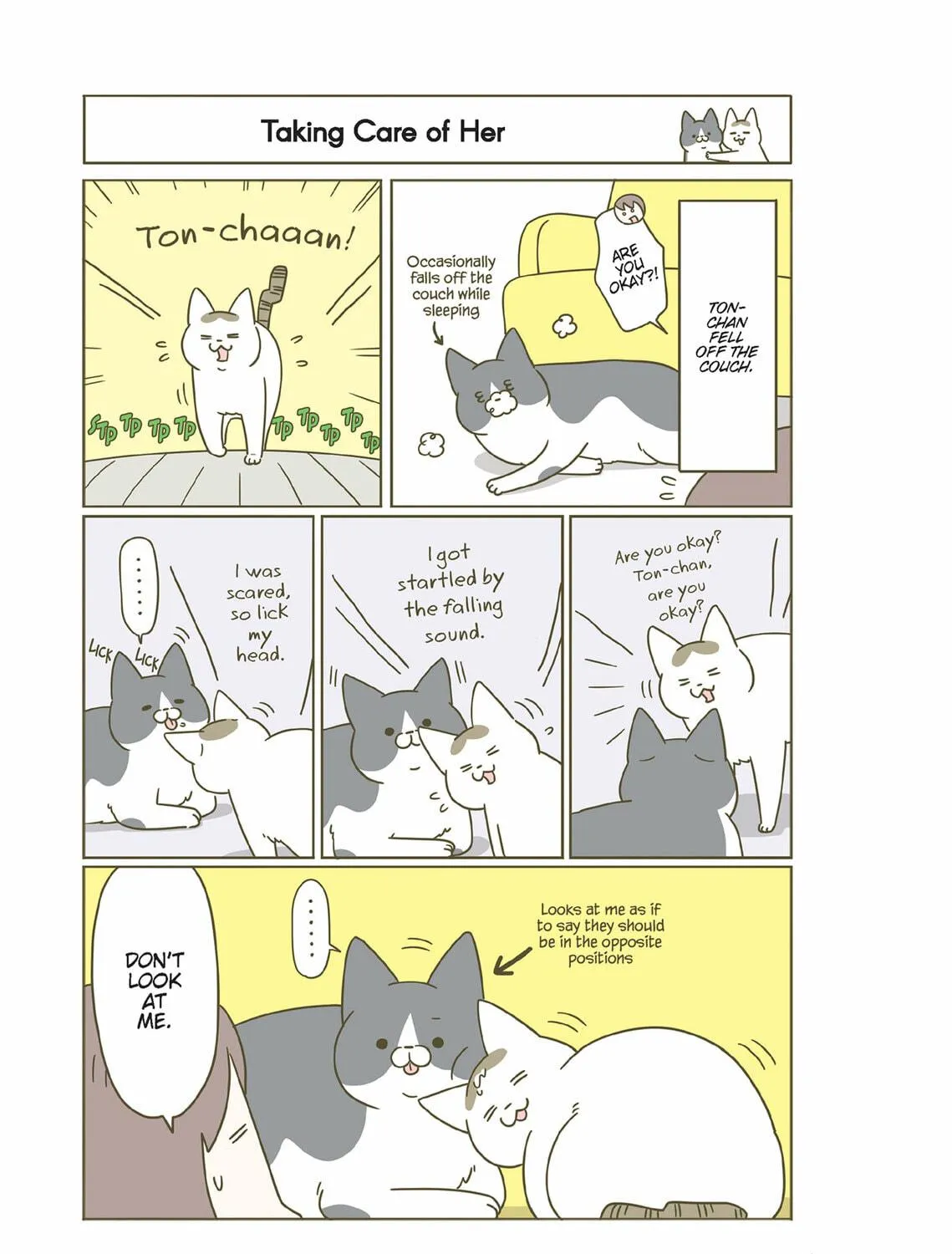 My Cat is Such a Weirdo Chapter 32 page 29 - 
