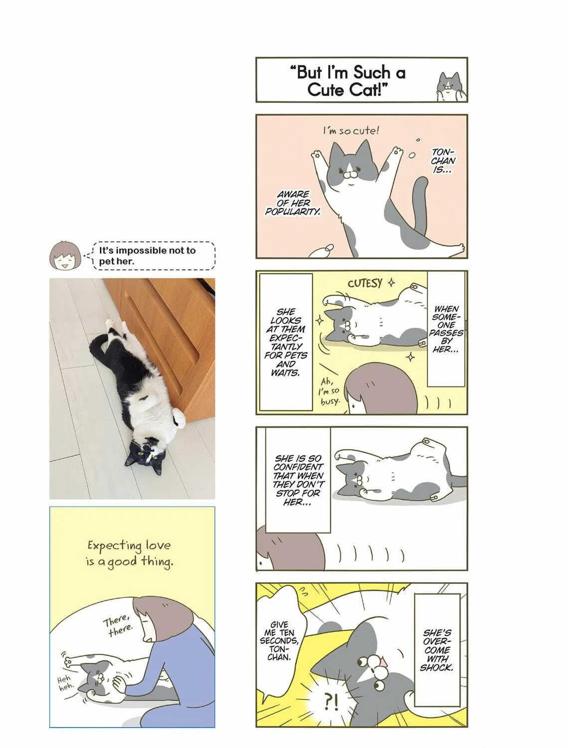 My Cat is Such a Weirdo Chapter 32 page 5 - 