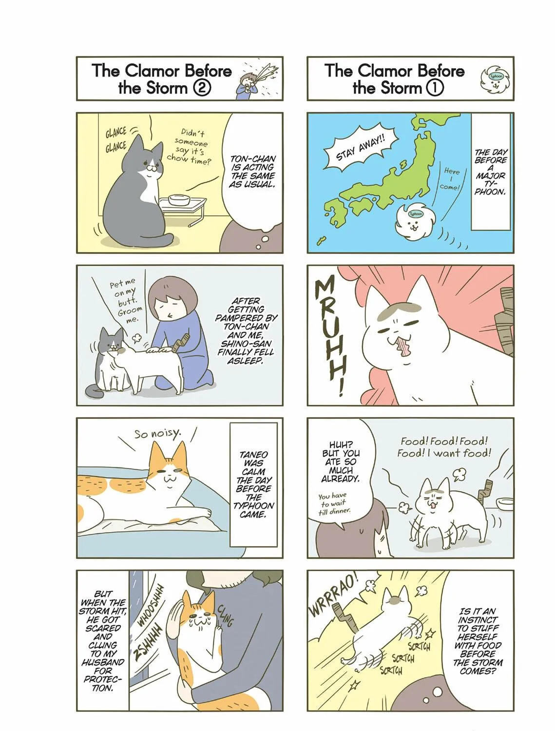 My Cat is Such a Weirdo Chapter 33 page 11 - 