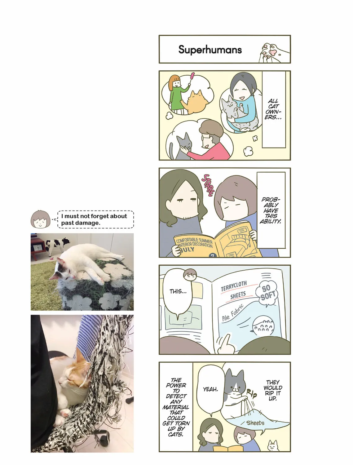 My Cat is Such a Weirdo Chapter 33 page 13 - 