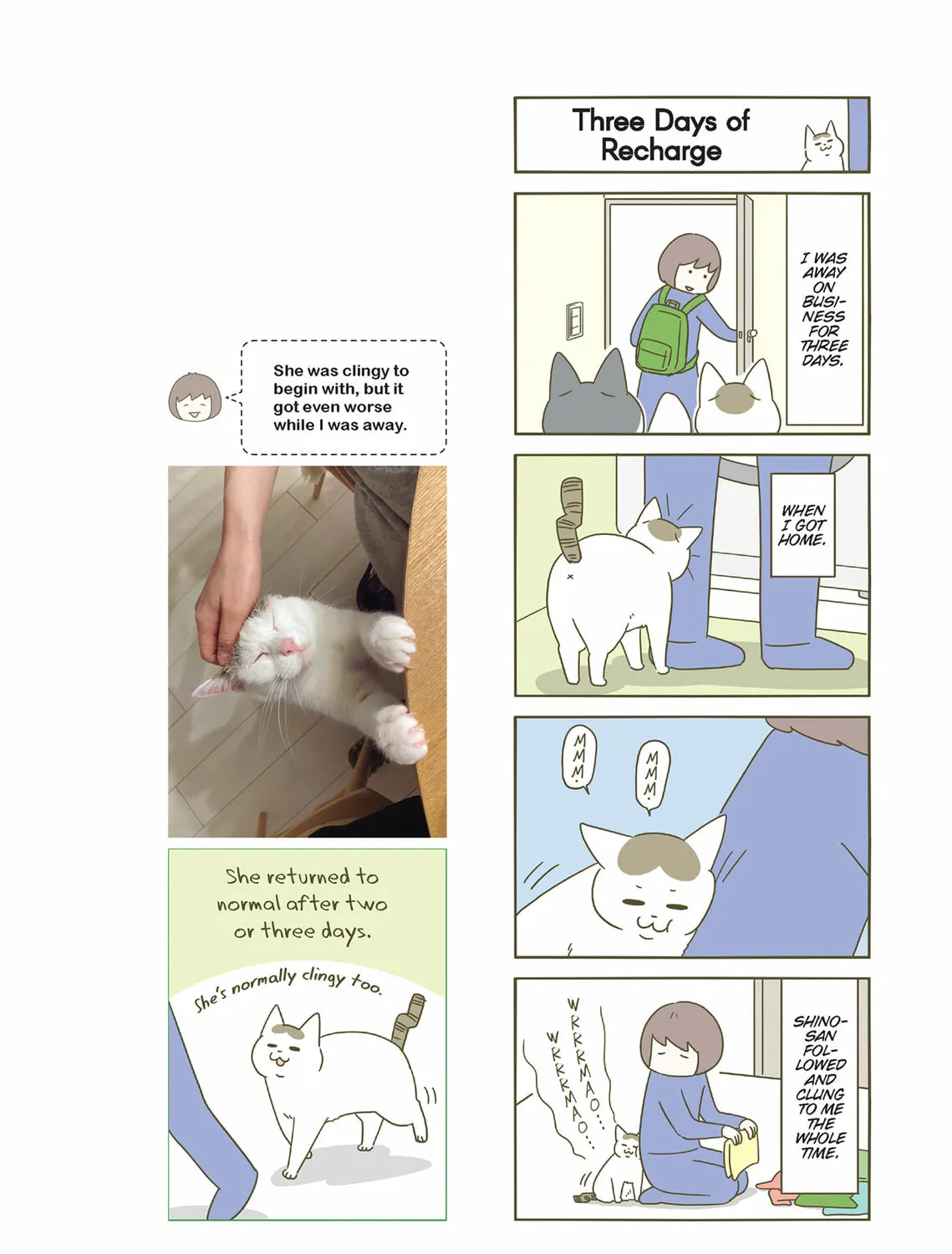 My Cat is Such a Weirdo Chapter 33 page 15 - 