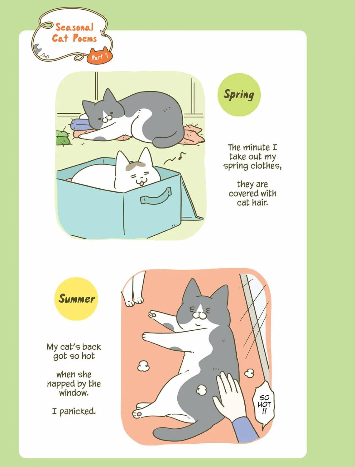 My Cat is Such a Weirdo Chapter 33 page 17 - 