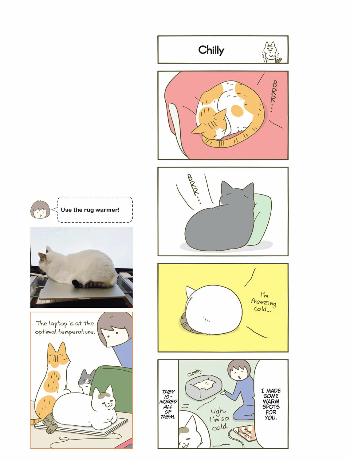 My Cat is Such a Weirdo Chapter 33 page 21 - 