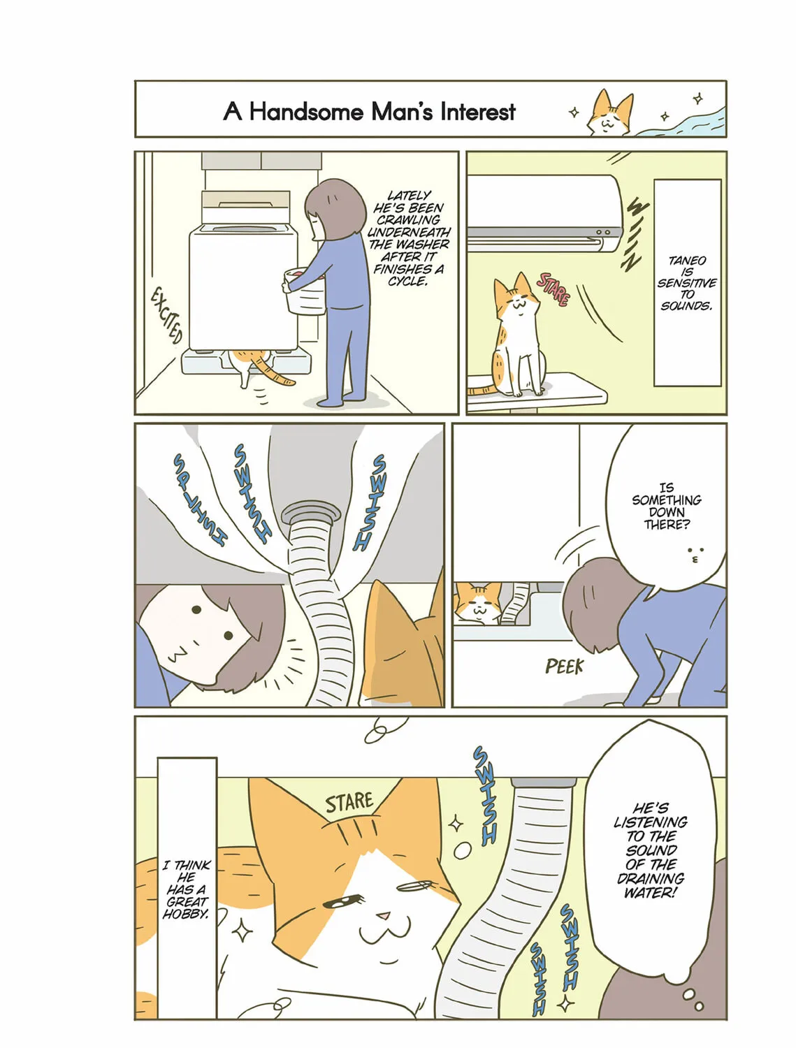 My Cat is Such a Weirdo Chapter 33 page 7 - 