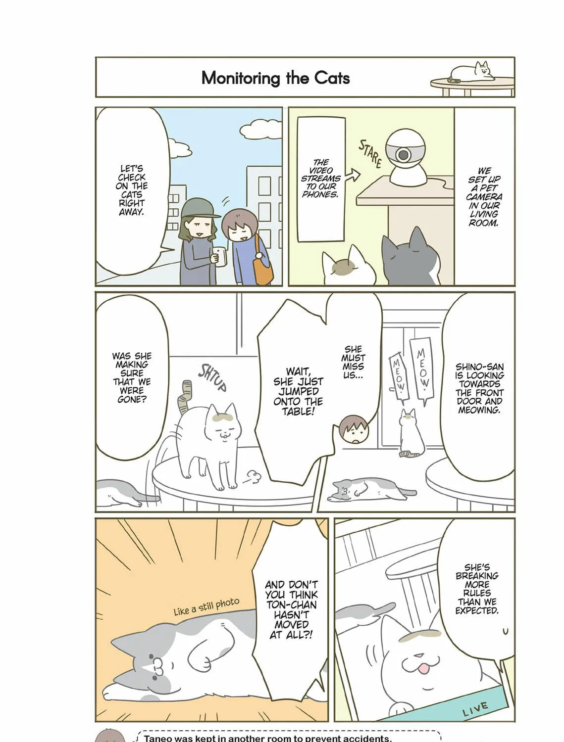 My Cat is Such a Weirdo Chapter 34 page 23 - 