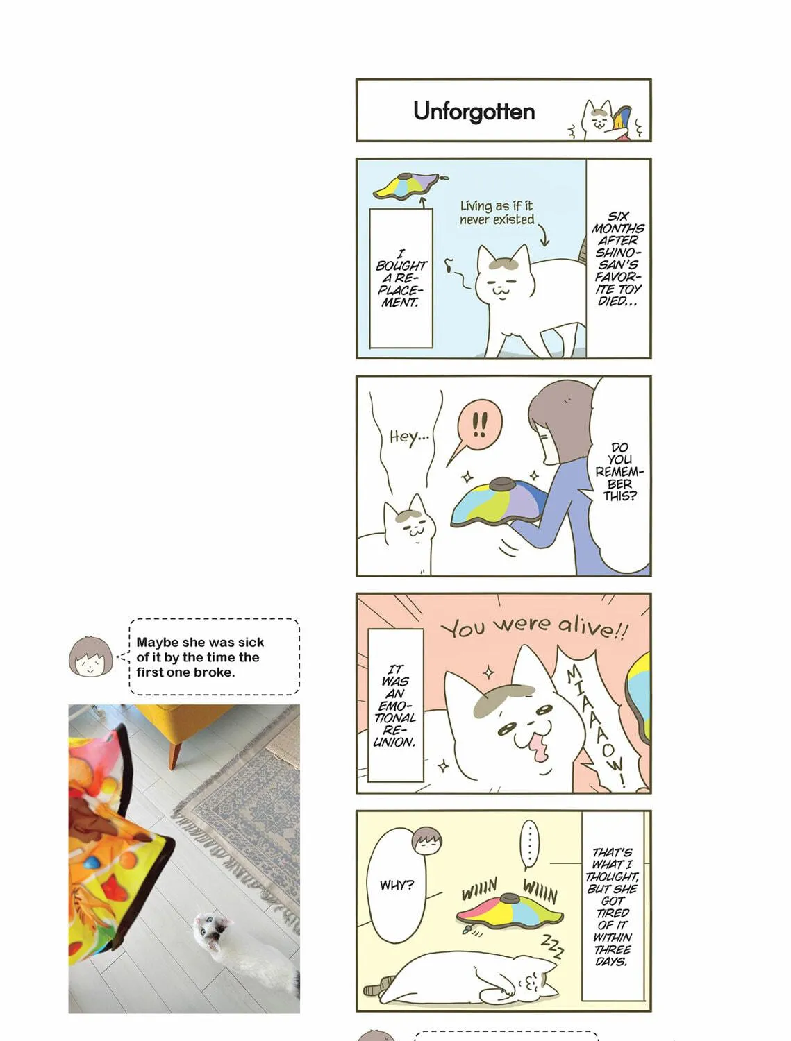 My Cat is Such a Weirdo Chapter 34 page 29 - 