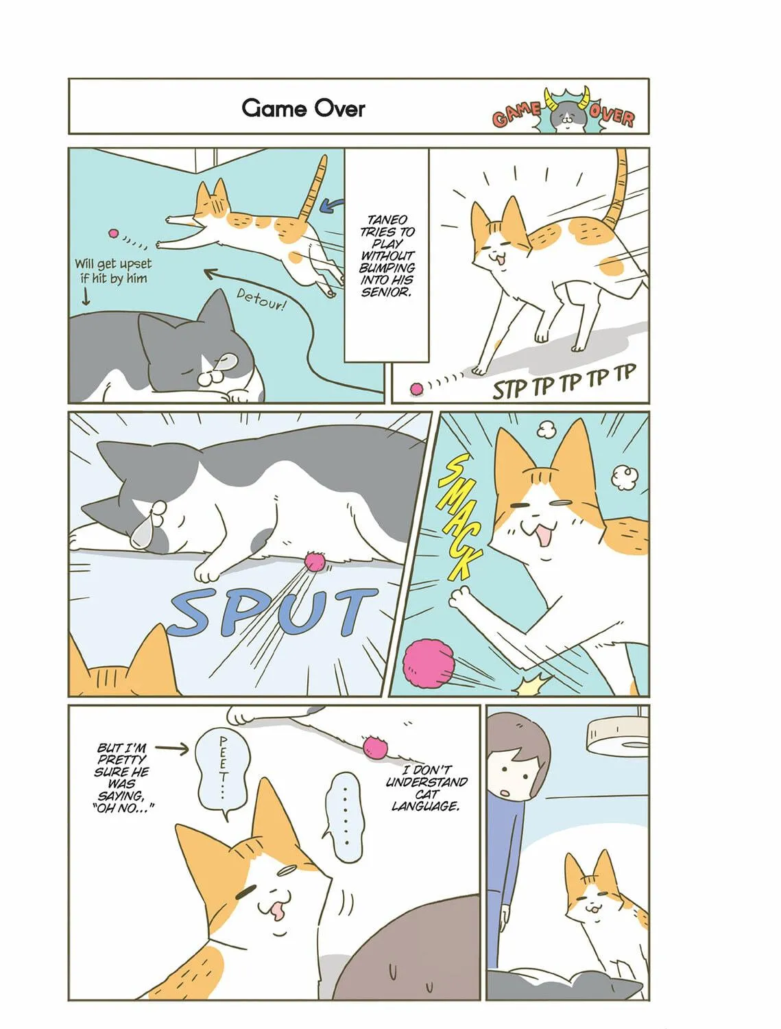 My Cat is Such a Weirdo Chapter 34 page 5 - 