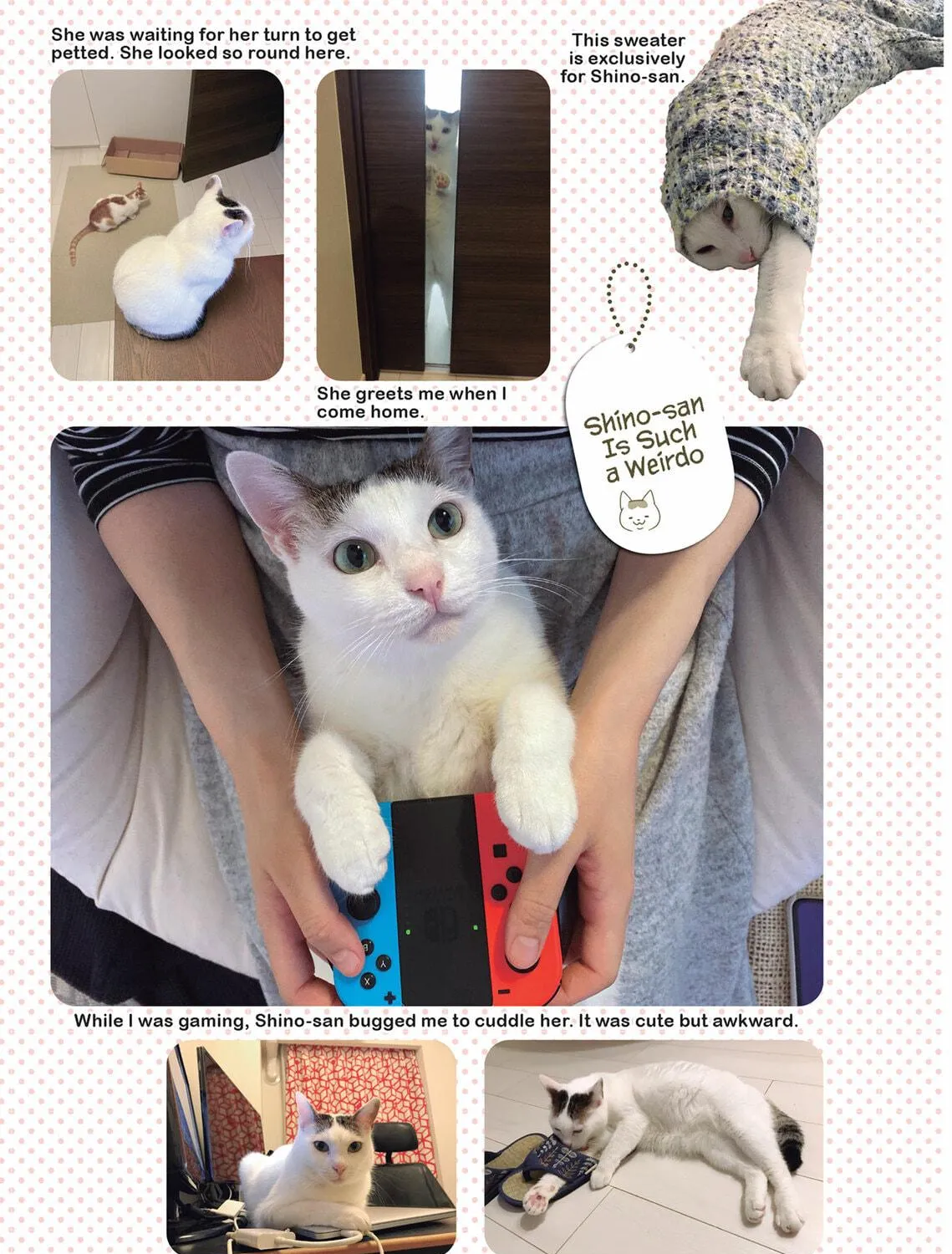 My Cat is Such a Weirdo Chapter 36 page 17 - 