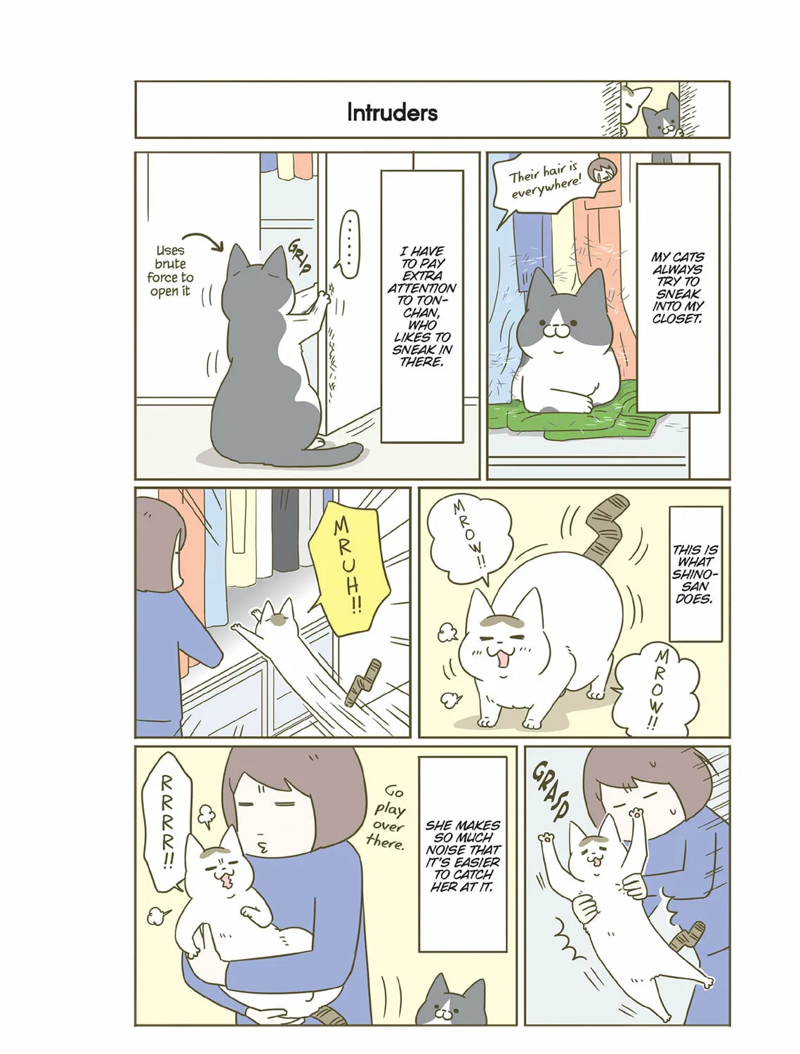 My Cat is Such a Weirdo Chapter 36 page 3 - 