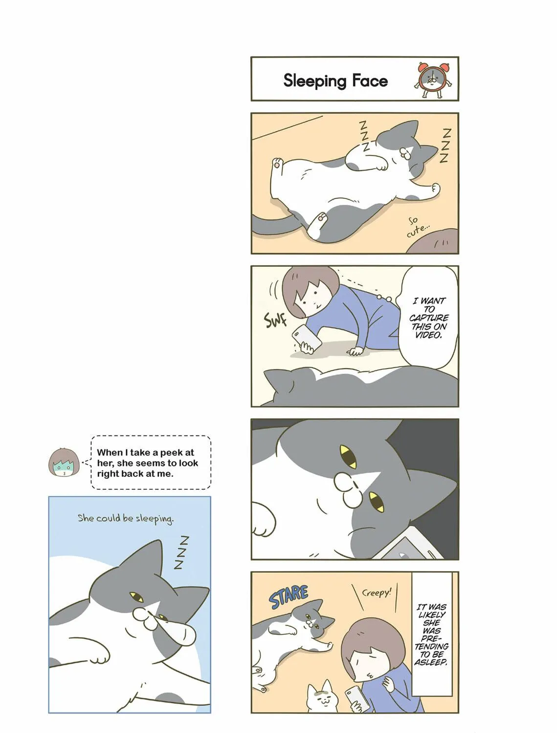 My Cat is Such a Weirdo Chapter 36 page 5 - 
