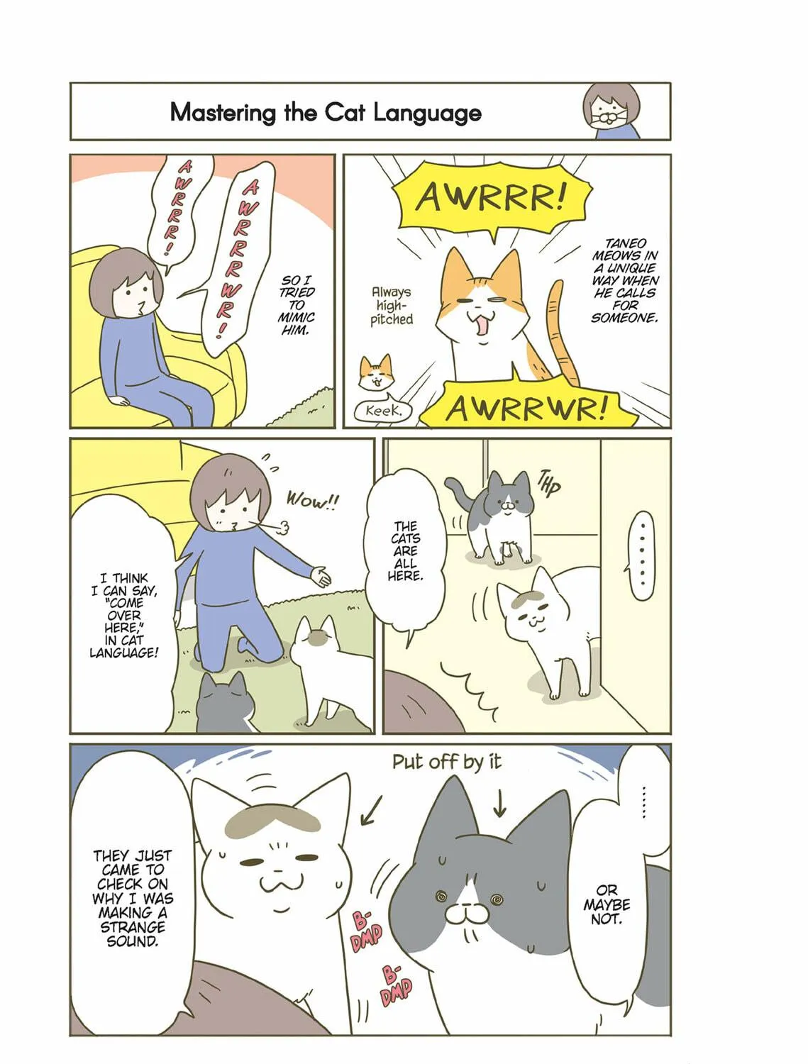 My Cat is Such a Weirdo Chapter 36 page 41 - 