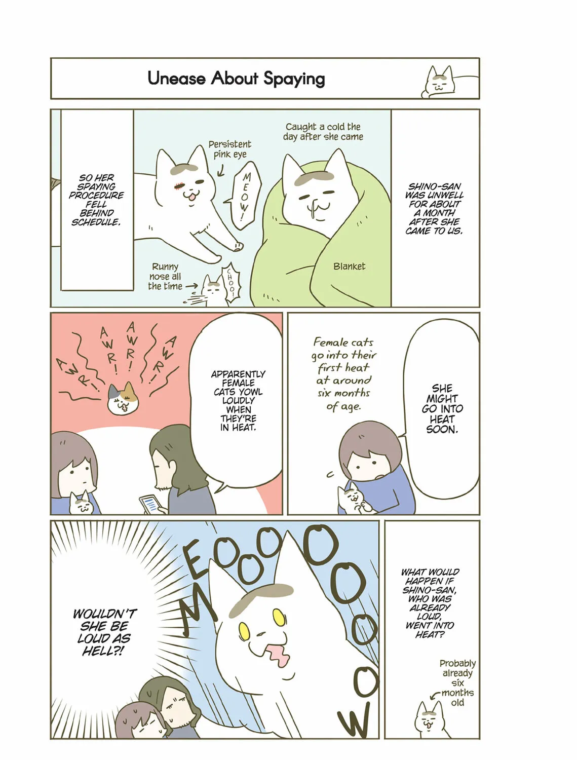My Cat is Such a Weirdo Chapter 37 page 13 - 