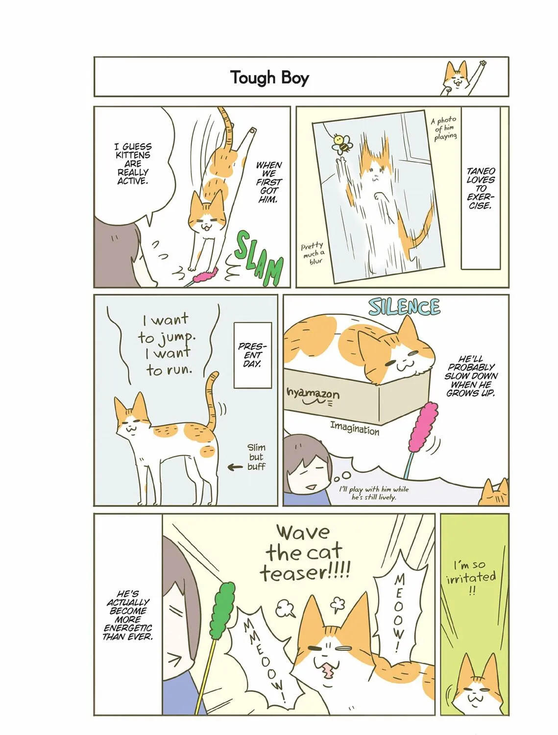 My Cat is Such a Weirdo Chapter 37 page 19 - 