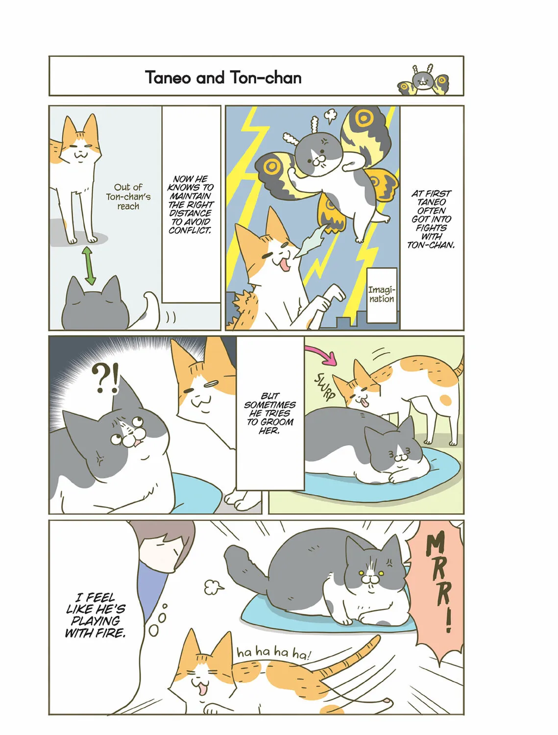 My Cat is Such a Weirdo Chapter 37 page 21 - 