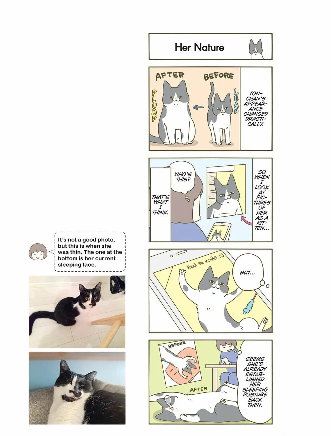 My Cat is Such a Weirdo Chapter 37 page 5 - 