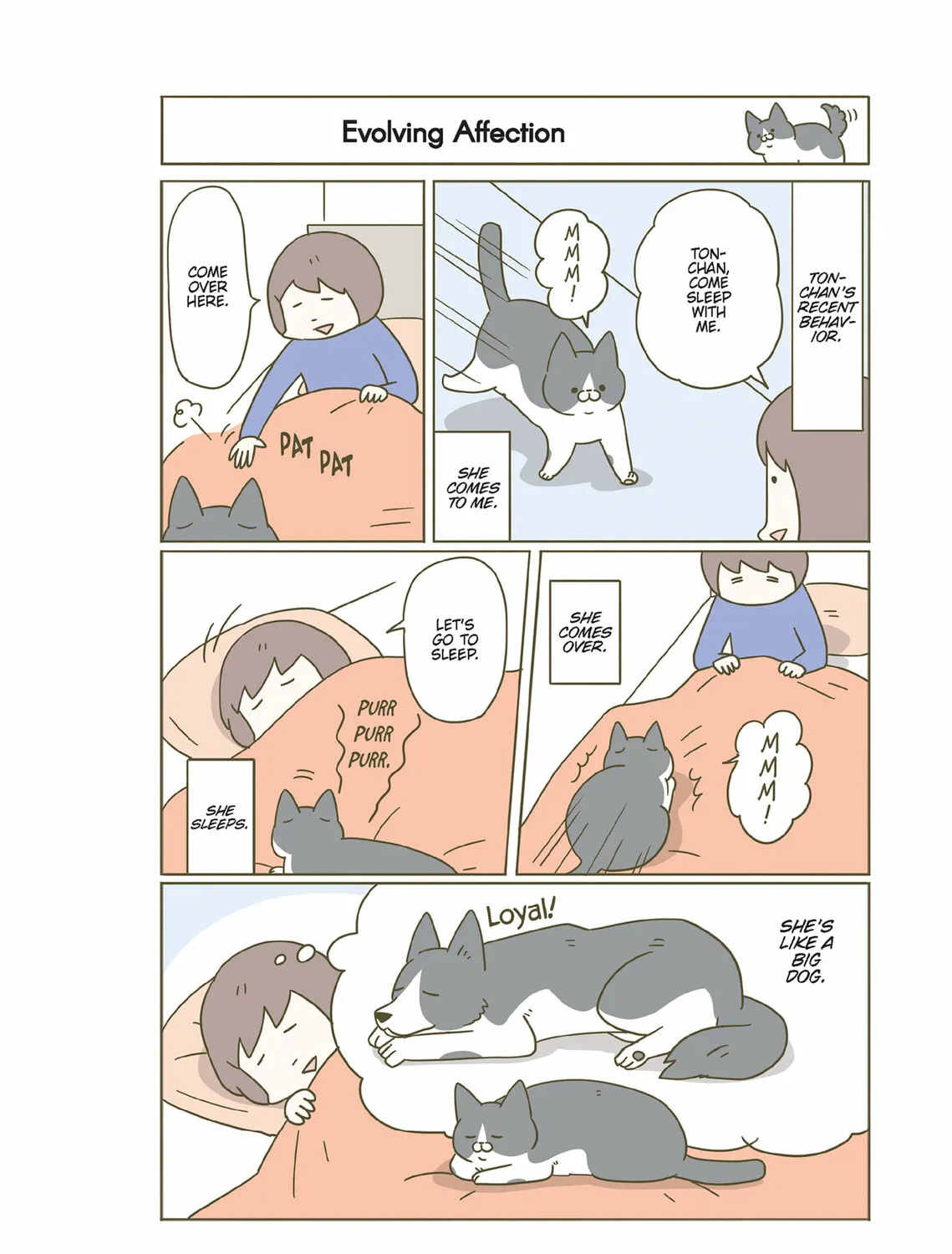 My Cat is Such a Weirdo Chapter 37 page 7 - 
