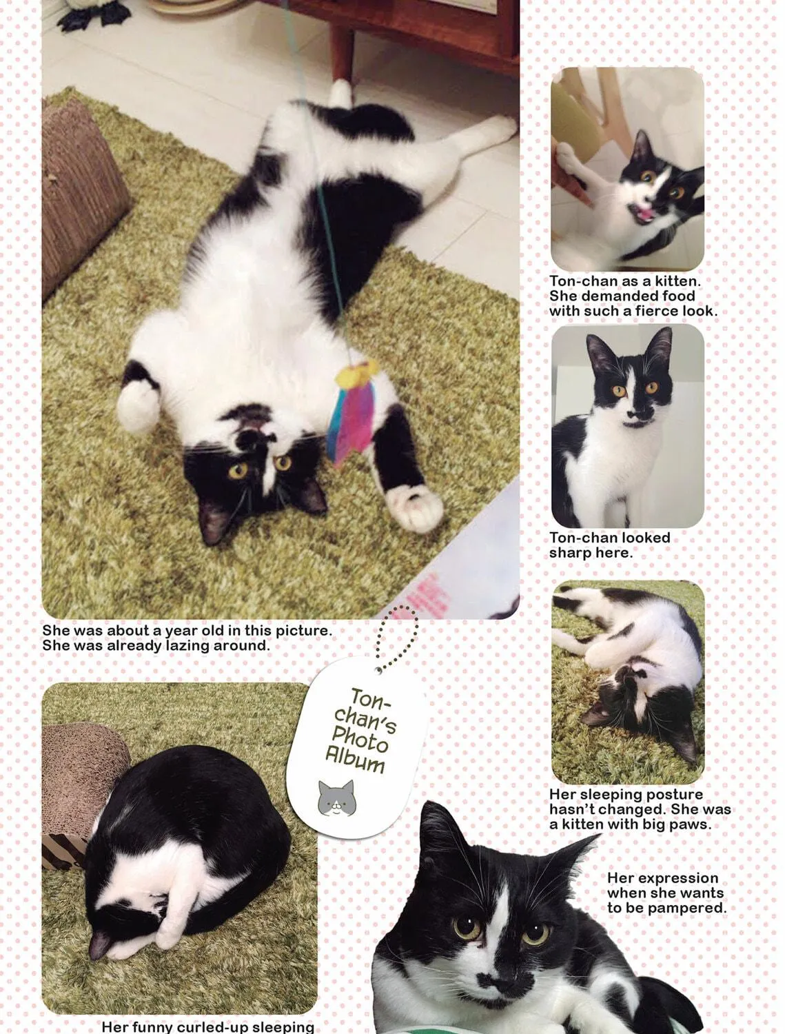My Cat is Such a Weirdo Chapter 37 page 9 - 
