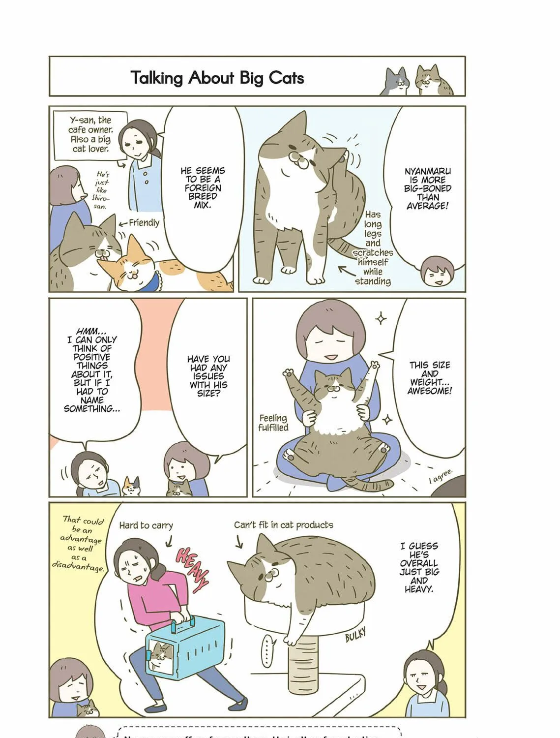 My Cat is Such a Weirdo Chapter 38 page 17 - 