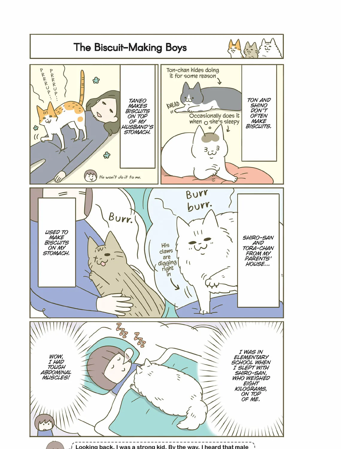 My Cat is Such a Weirdo Chapter 38 page 21 - 