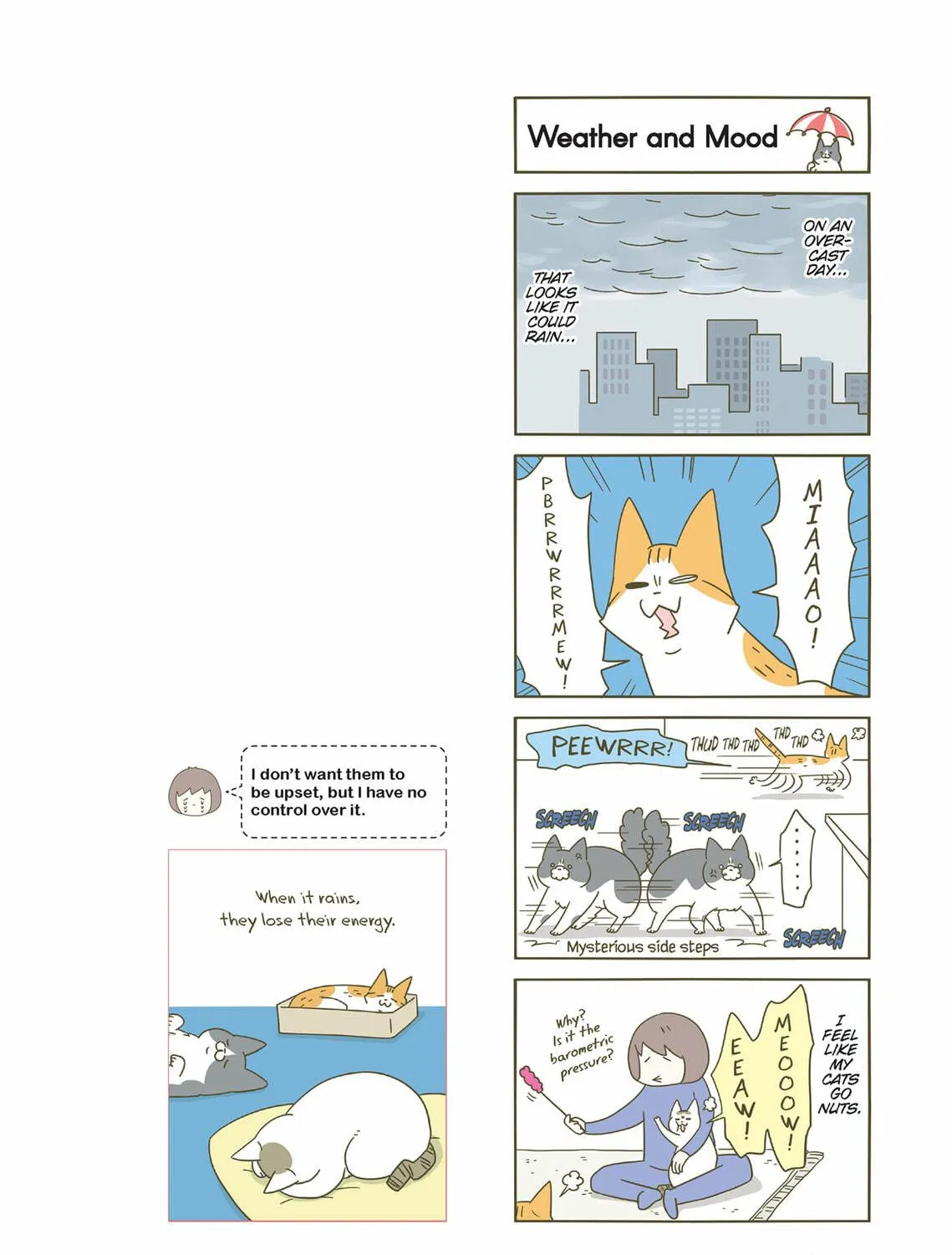 My Cat is Such a Weirdo Chapter 39 page 11 - 