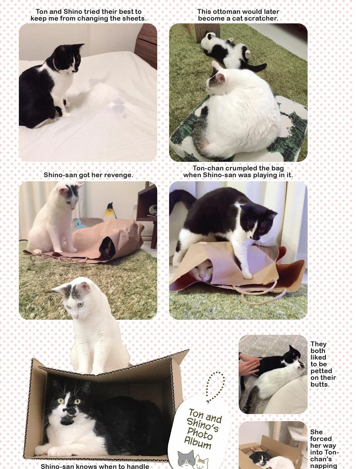 My Cat is Such a Weirdo Chapter 39 page 17 - 