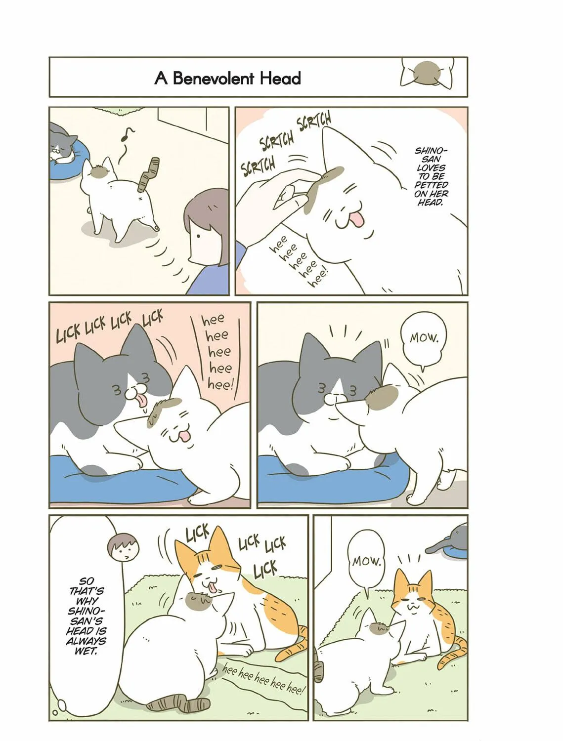 My Cat is Such a Weirdo Chapter 39 page 29 - 