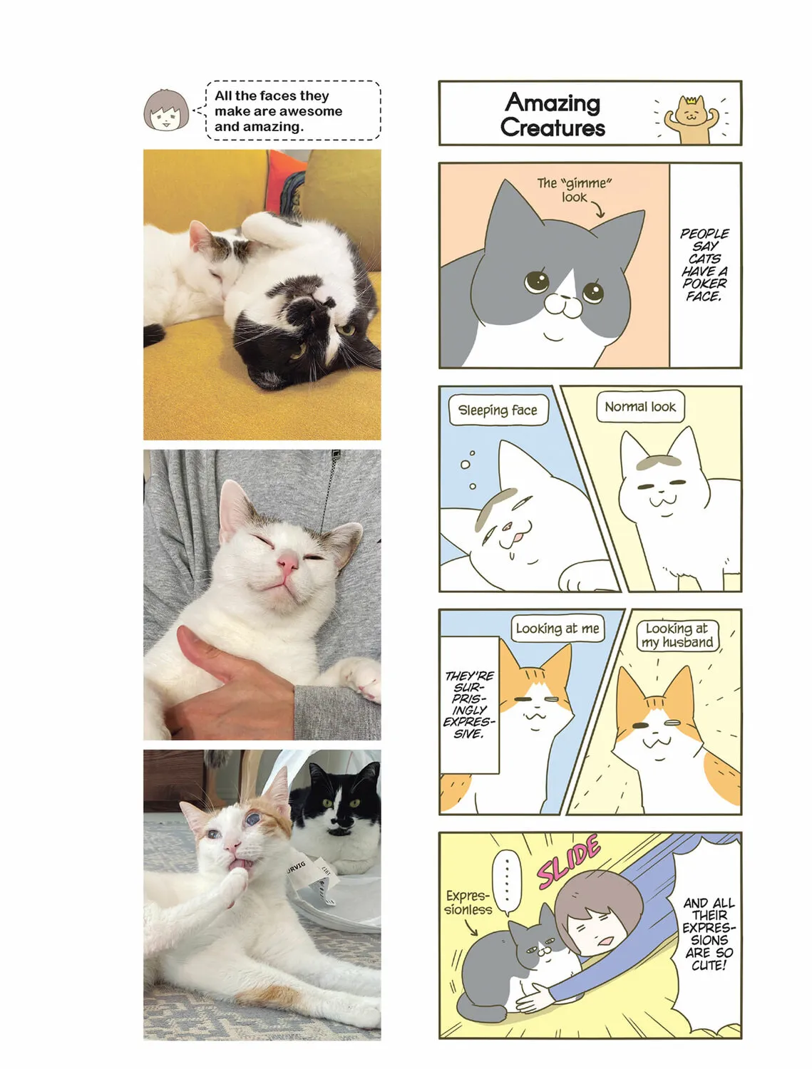 My Cat is Such a Weirdo Chapter 39 page 31 - 